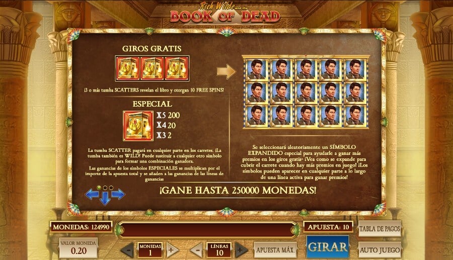 Cómo jugar a la slot Book of Dead en casino online