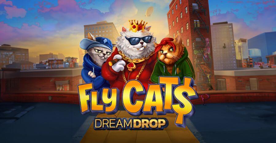 Fly Cats Dream Drop premio millonario