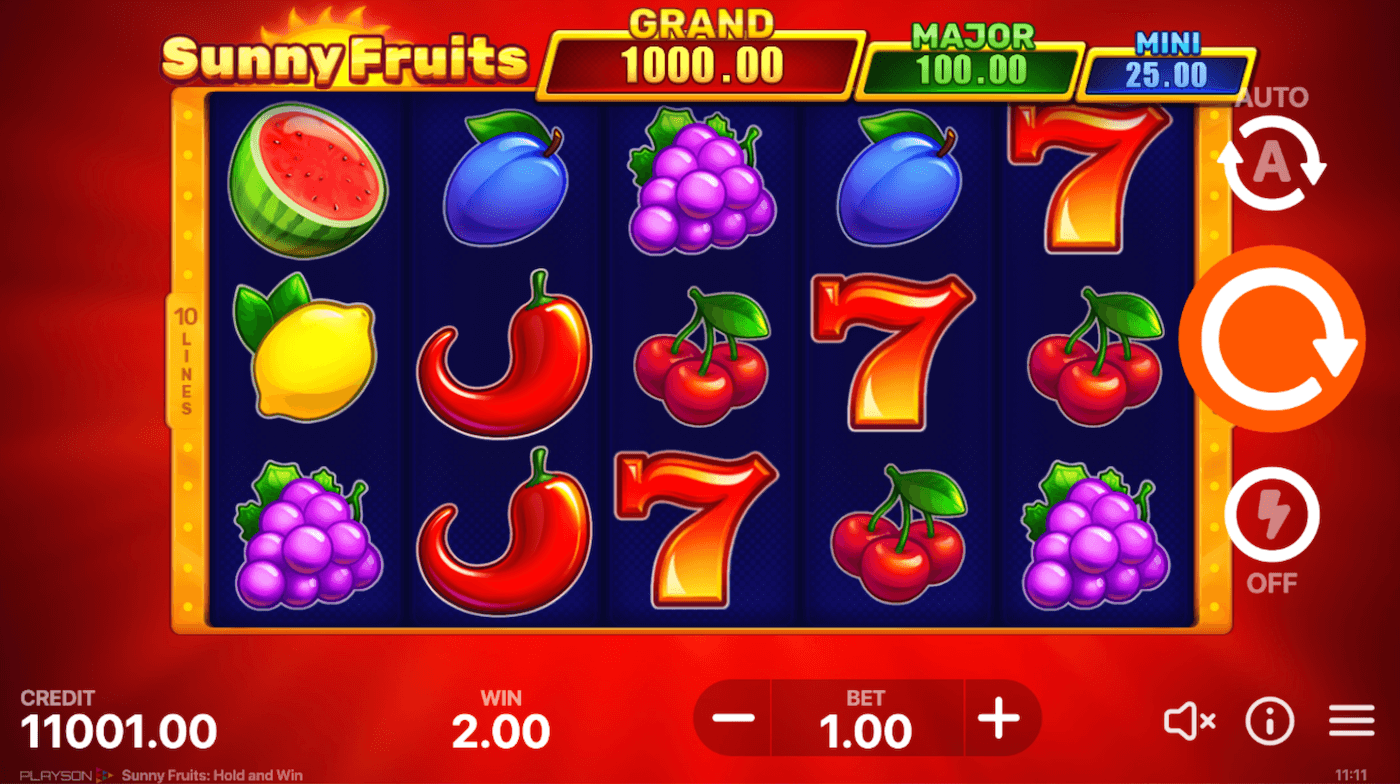 Slot Sunny Fruits: Hold and Win
